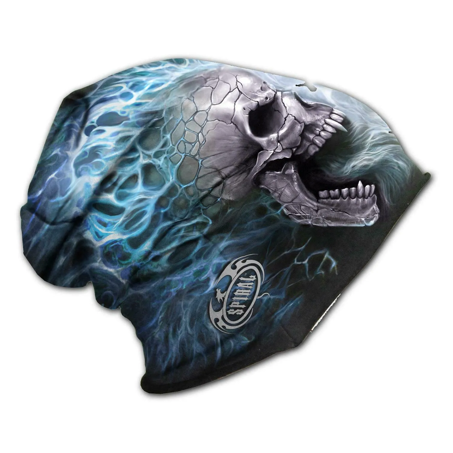 Flaming Spine Mens Beanie